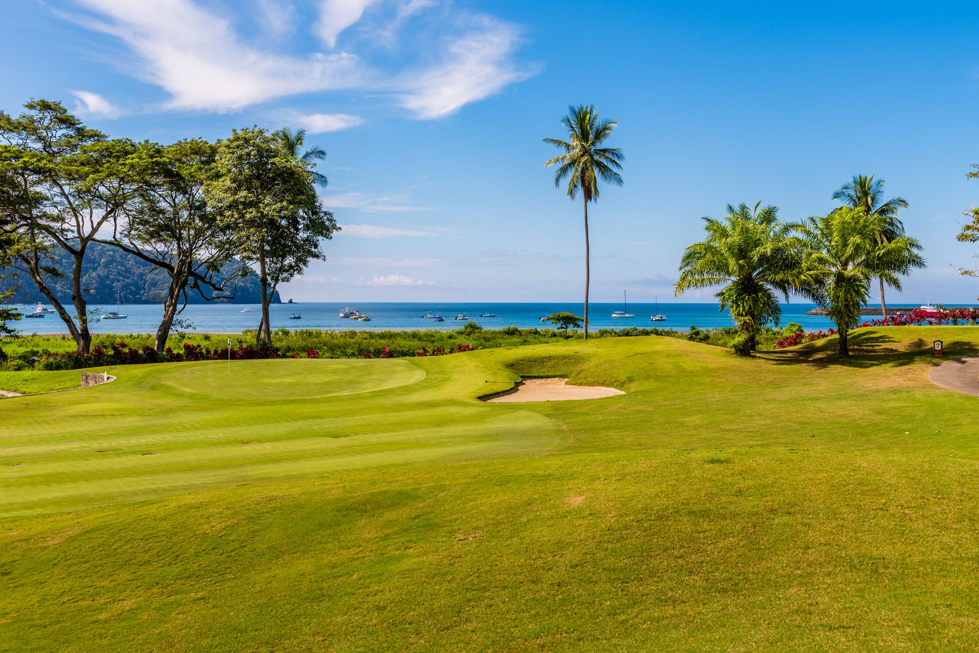 Costa Rica’s enchanting golf course scenery   Alt text: Sweeping views of the ocean from the meticulously kept golf course dotted with palm trees.