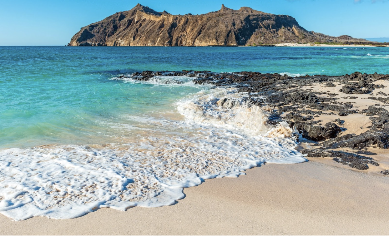  Explore the breathtaking shores of the Galapagos, where cerulean water and rugged terrain add to the natural beauty.